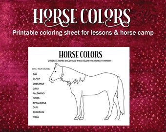 Horse Colors Printable Coloring Sheet, Coat Colors Equestrian Coloring Sheet for Horse Camp, Riding Instructors, Lessons & Hippology