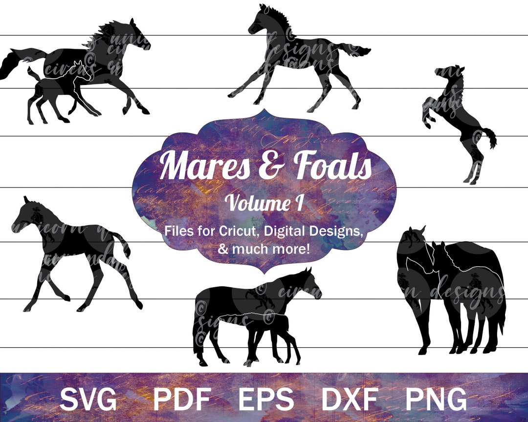 Mare And Foal SVG Bundle Mares And Foals Cut Files Horse Silhouette mare-and-foal-svg-bundle-mares-and-foals-cut-files-horse-silhouette