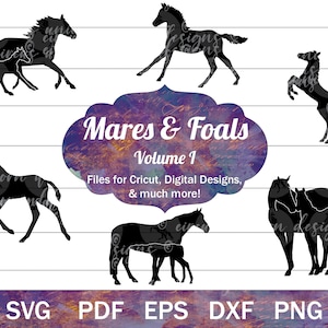 Merrie en veulen SVG bundel, merries en veulens gesneden bestanden, paard silhouet gesneden bestanden, baby paard SVG illustraties, fokmerrie svg, paardenfokkerij png