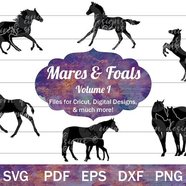 Mare and Foal SVG Bundle, Mares and Foals Cut Files, Horse Silhouette Cut Files, Baby Horse SVG Clip Art, Broodmare svg, Horse Breeding png