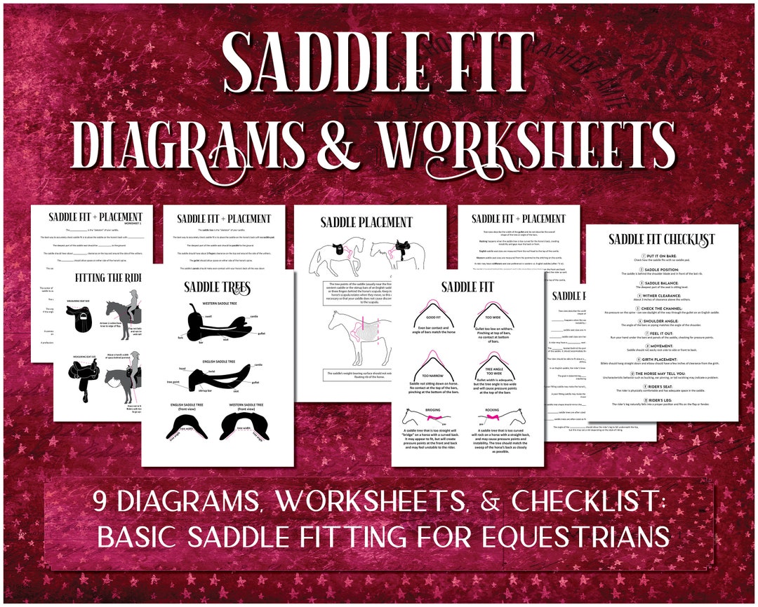 Saddle Fit Printable Bundle Saddle Fit Diagrams Worksheets for