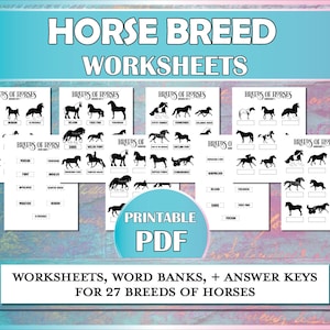 Afdrukbare werkbladen Identificatie paardenrassen, paardenrassen diagrammen en werkbladen voor paardenkamp, hipologie en paardrijlessen