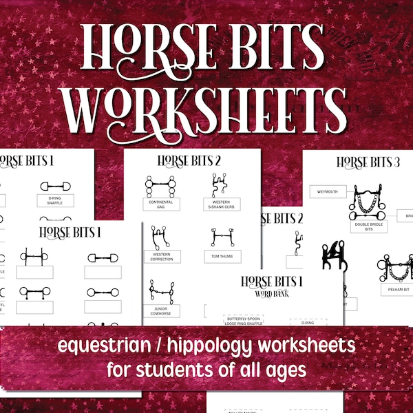 Hippology Worksheet Etsy