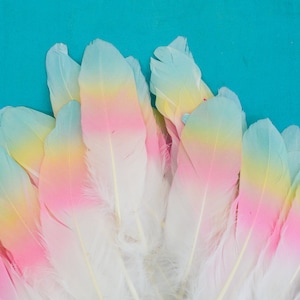 Mane Feathers for Horses and Ponies Feather Clip Equestrian Accessories Gold, Silver, Rose Gold, Pastel Rainbow, Peacock Feathers image 7