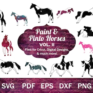 Paint Horse SVG for Cricut, Pinto Horse SVG, English Horse SVG, Hunter Jumper Clip Art, Pinto svg png dxf, Tobiano Hunter Horse Silhouette