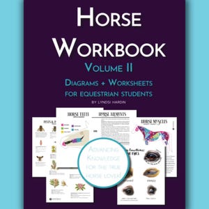 The Horse Workbook Vol. II | Diagrams, Lessons & Worksheets for Growing Equestrian Students