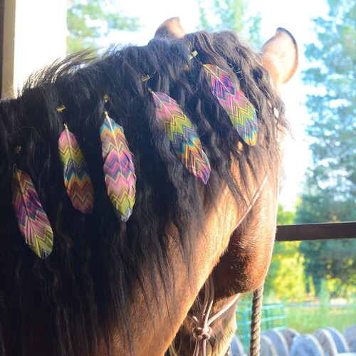 Colorful Plaid Mane Feathers for Horses and Ponies Feather Etsy