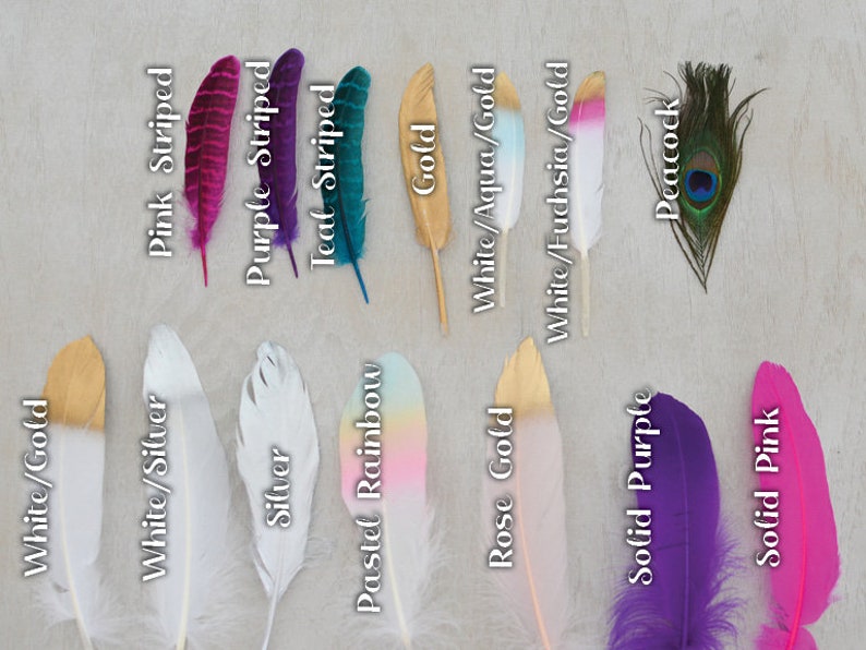 Mane Feathers for Horses and Ponies Feather Clip Equestrian Accessories Gold, Silver, Rose Gold, Pastel Rainbow, Peacock Feathers image 3