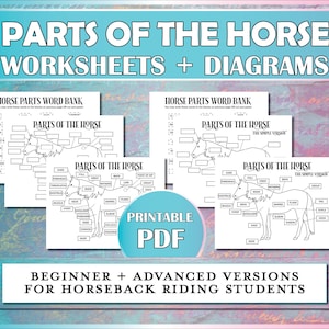 Parts of the Horse Printable Diagram, Equestrian Printable Worksheet for Horse Camp, Riding Instructors, Horseback Lessons & Hippology