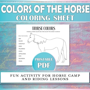 Horse Colors Printable Coloring Sheet, Coat Colors Equestrian Coloring Sheet for Horse Camp, Riding Instructors, Lessons & Hippology