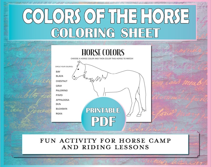 PRINTABLE Set of 8 English Riding Coloring Pages - Digital Download ...