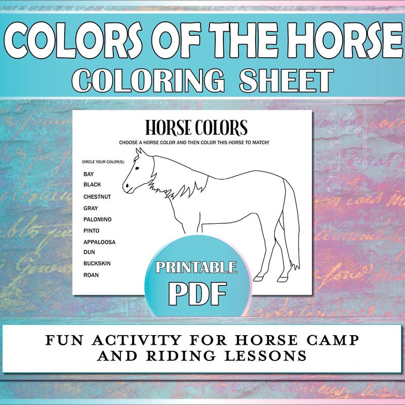 Horse Winter Coloring Etsy