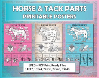 Op de afbeelding: Printbare posters met diagrammen van paardenanatomie en tuigonderdelen. De posters zijn verkrijgbaar in roze, bruine en blauwe achtergronden. De tekst op de posters bevat "HORSE & TACK PARTS PRINTABLE POSTERS" en "JPEG + PDF Print Ready Files".