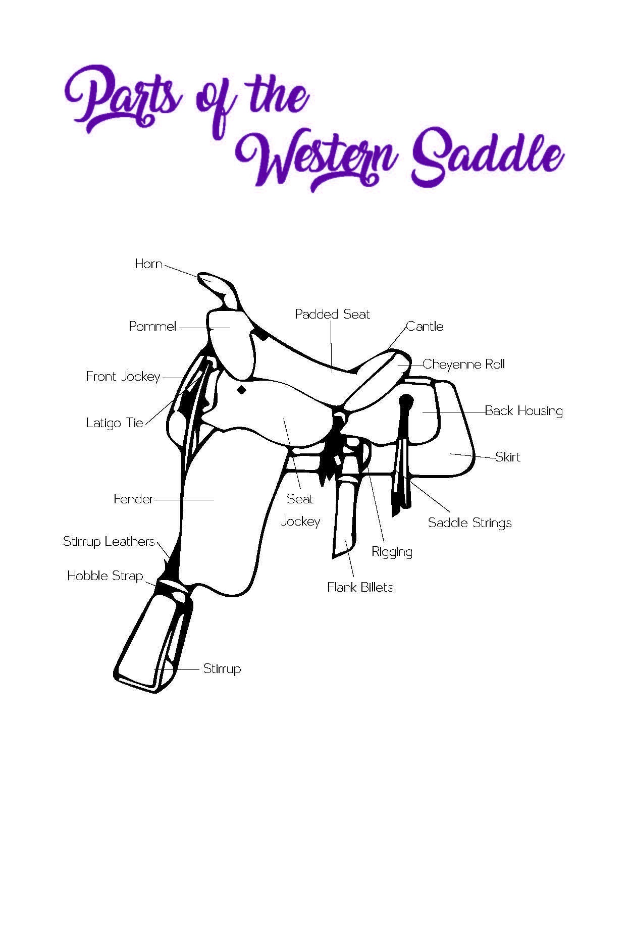 Equestrienne's Journal Digital/PDF Young Rider Etsy