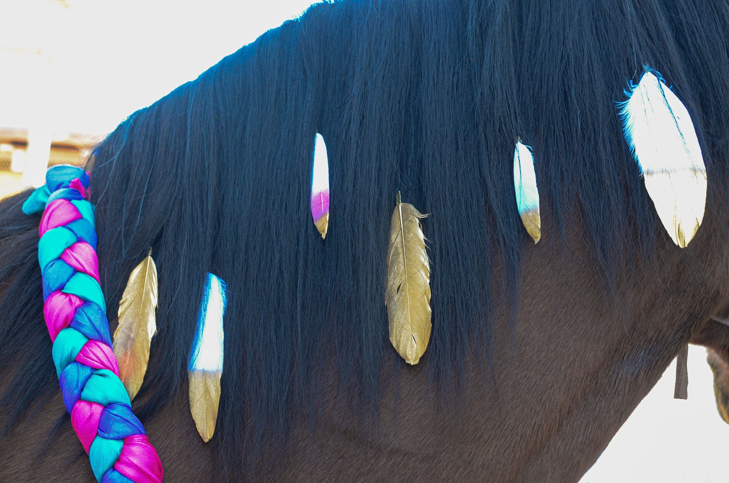 HORSE FEATHERS セットアップ　Mサイズ　20-21 HORSE FEATHERS セットアップ Mサイズ 20-21