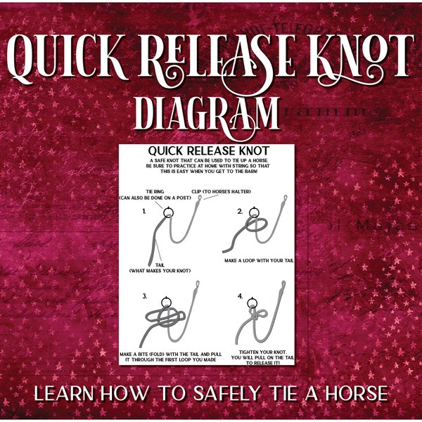 Quick Release Knot Printable Diagram, How to Tie A Horse Printable for  Riding Instructors, Lessons & Horse Camp, Horse Safety for Students