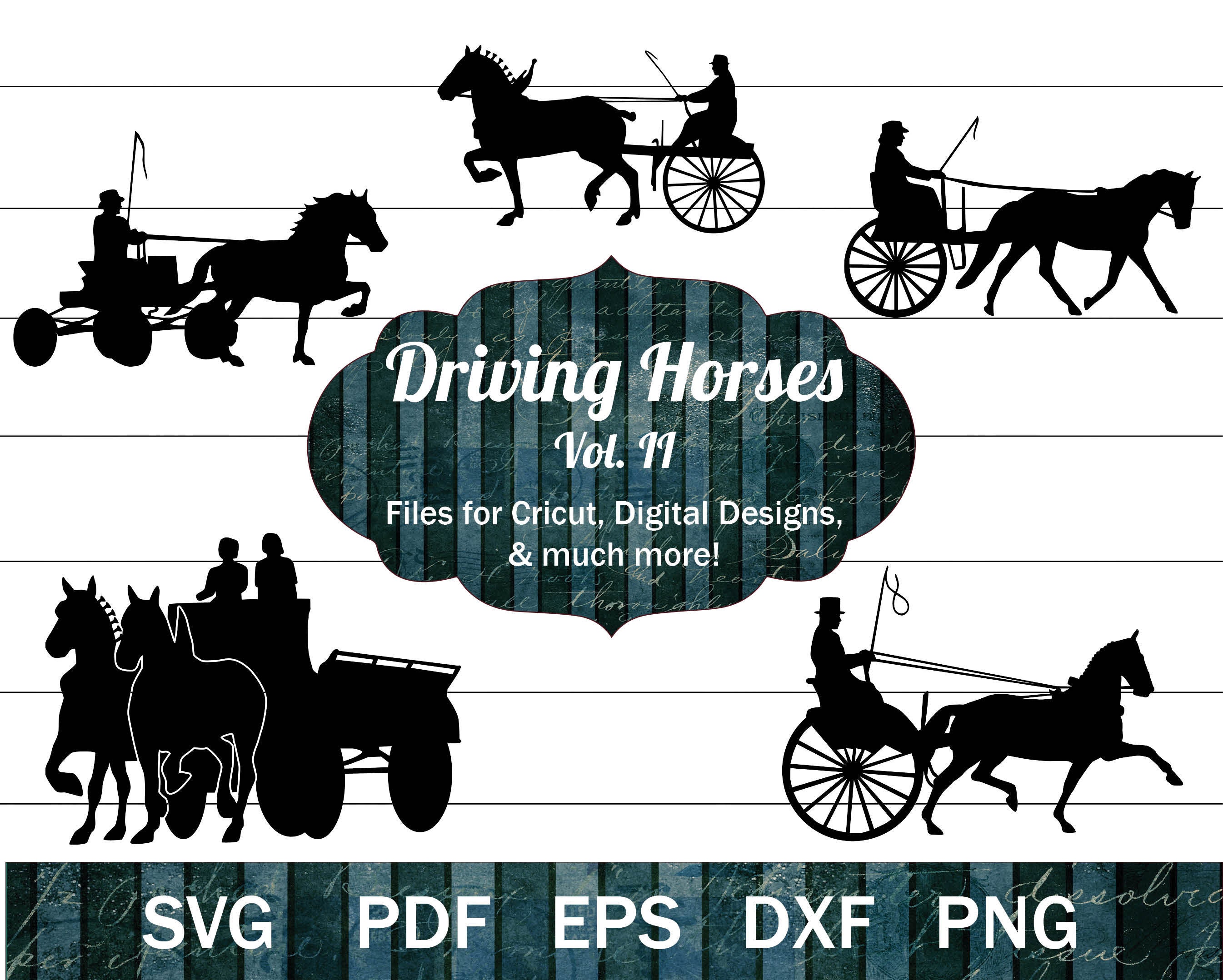 Amish driving hotsell horses for sale