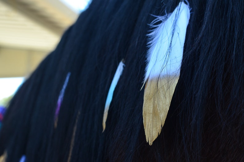 Mane Feathers for Horses and Ponies Feather Clip Equestrian Accessories Gold, Silver, Rose Gold, Pastel Rainbow, Peacock Feathers image 5