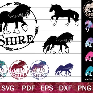 Shire Horse SVG Bundle, Draft Horse Clip Art, Shire Horse Silhouettes PNG bundle, Draught Horse Cut File for Cricut or Sublimation