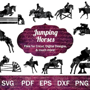 Pacote SVG de Jumping Horse, arquivos vetoriais de Eventer, arquivos de corte de silhueta de cavaleiro inglês, clipart de Hunter Jumper Horse SVG, Cross Country svg png