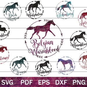 Warmblood Horse SVG for Cricut, Equestrian Clip Art, Dressage Horse SVG, Jumping Horse PNG, Holsteiner, Hanoverian, Westphalian, Trakehner
