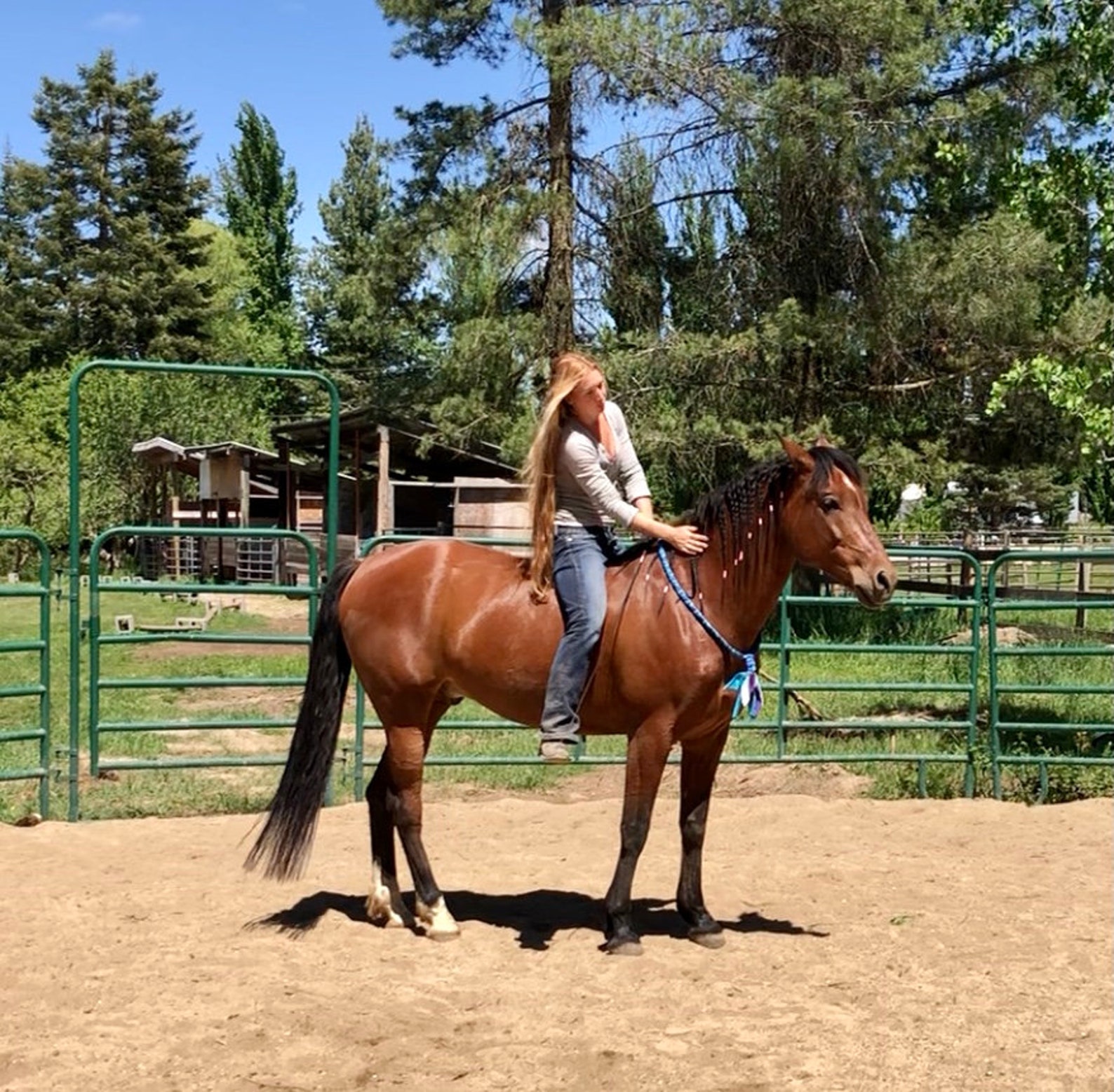 Horse Neck Rope for Tackless/bridleless Riding Neck Rope for Etsy