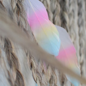 Mane Feathers for Horses and Ponies Feather Clip Equestrian Accessories Gold, Silver, Rose Gold, Pastel Rainbow, Peacock Feathers image 10