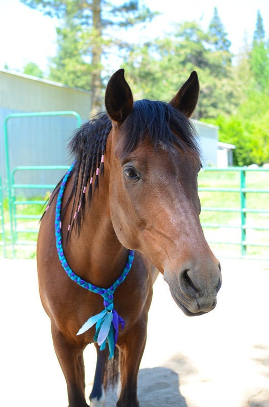Horse Neck Rope for Tackless/bridleless Riding Neck Rope for Liberty