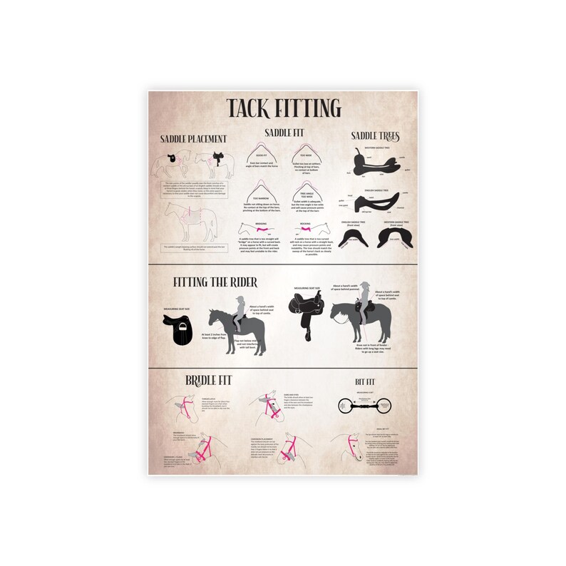 Bridle and Saddle Fit Poster, Horse Tack Knowledge Equestrian Poster ...