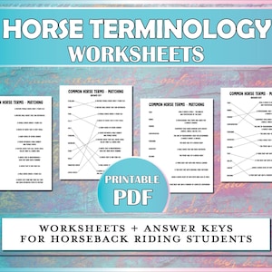 Horse Terminology Printable Worksheet, Equestrian Activity for Beginner Riding Students, Lessons & Horse Camp, Matching Quiz for Horse Kids