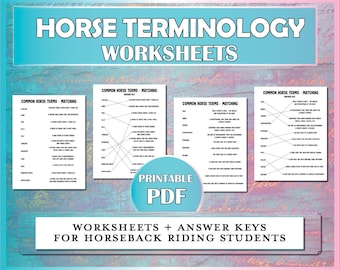 Horse Terminology Printable Worksheet, Equestrian Activity for Beginner Riding Students, Lessons & Horse Camp, Matching Quiz for Horse Kids