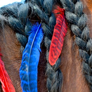 Può includere: La criniera di un cavallo intrecciata con tre piume, una blu e due rosse.