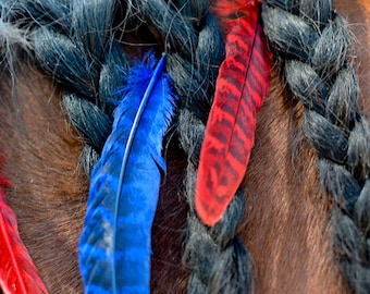 Red & Blue Mane Feathers for Horses and Ponies SET OF 6 | 4th of July Feather Clip Equestrian Accessories | Patriotic Horse Costume