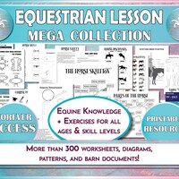 Tack Parts Printable Diagram, Saddle and Bridle Parts Equestrian ...