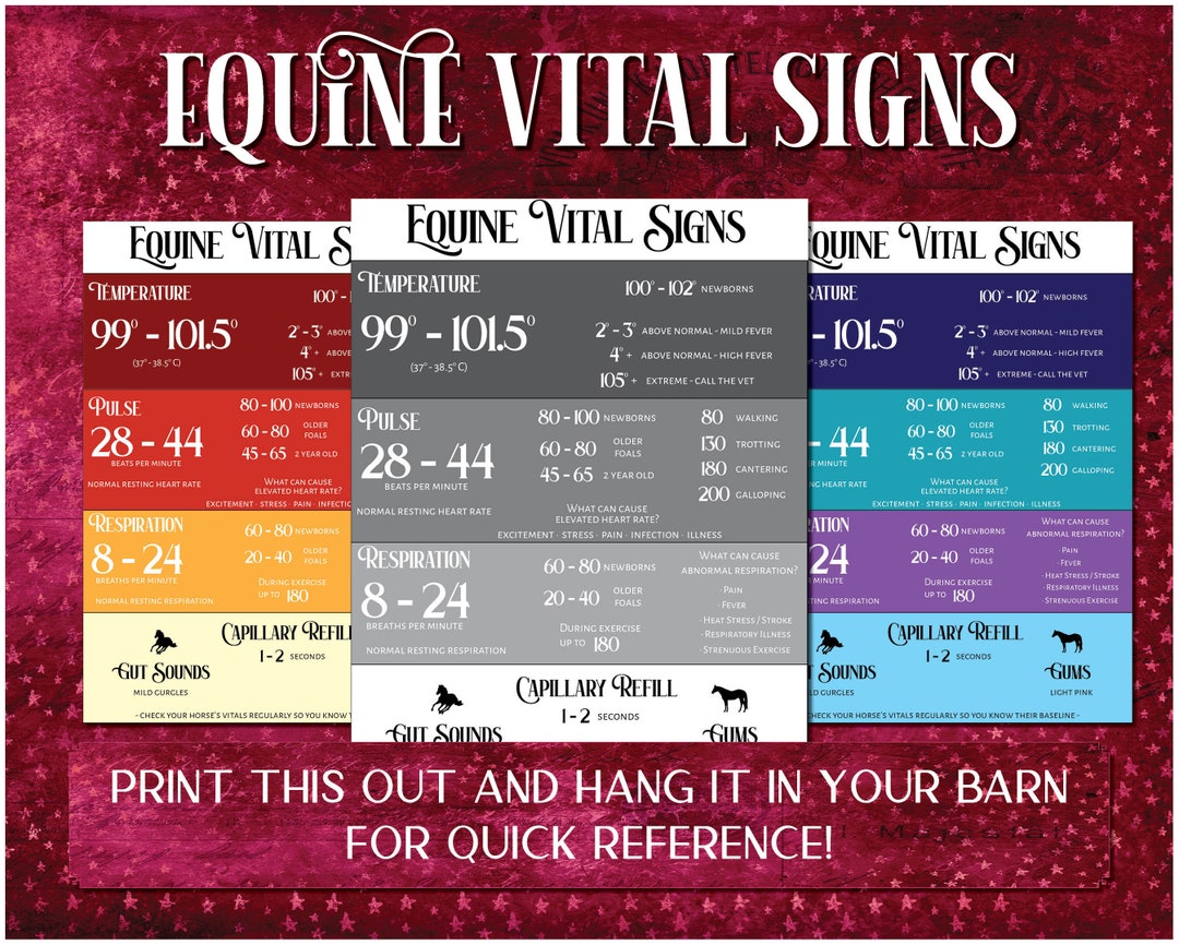 Equine Vital Signs Printable, Horse Vital Signs Poster, Equine TPR Sign