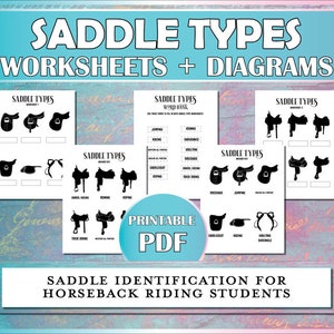 The Horse Camp MEGA Bundle - Vol. II - Equestrian Activities, Games, Exercises, Safety, & Worksheets for Lessons image 4