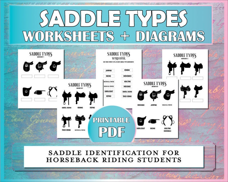 The Horse Camp MEGA Bundle - Vol. II - Equestrian Activities, Games, Exercises, Safety, & Worksheets for Lessons image 4