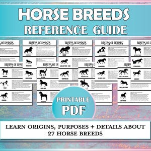 Horse Breed Characteristics Printable Diagrams, Horse Breeds Equestrian PDFs for Horse Camp, Horse Lovers, Hippology, & Riding Lessons