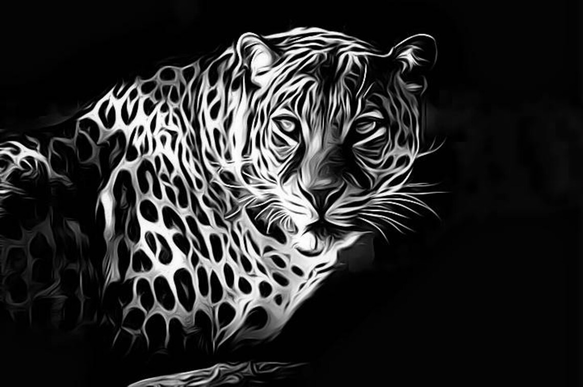 Leopard Wall Art Leopard Print Animal Wall Decor Black and White