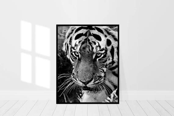 Tiger Wall Art Tiger Print Art Tiger Print Animal Wall Etsy