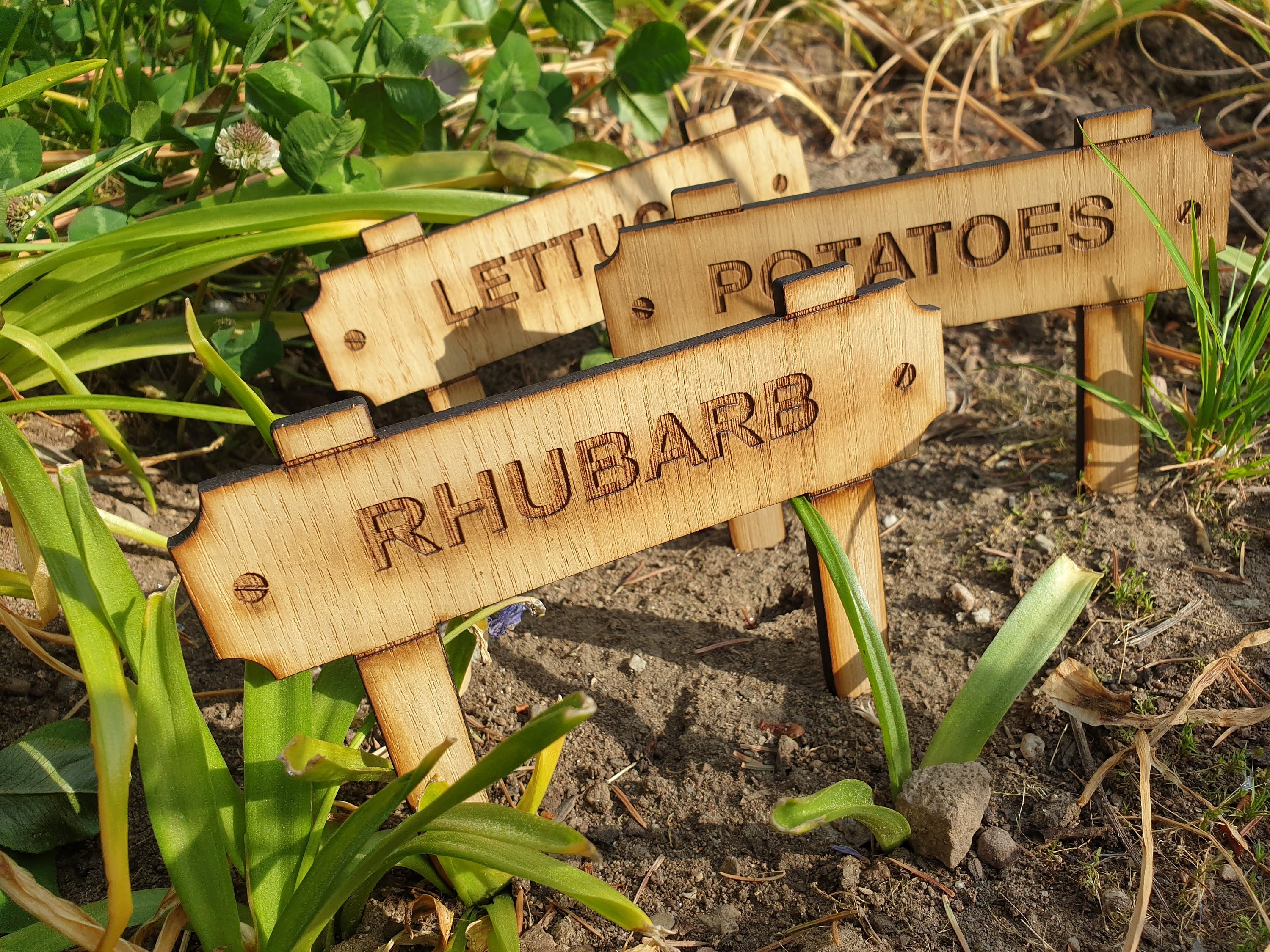 Garden Vegetable Seed Herb Custom Signs Markers Tags Marker Sign