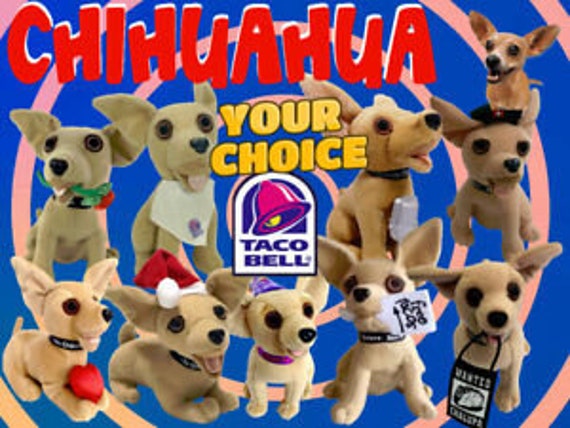 what happened to the taco bell chihuahua dog