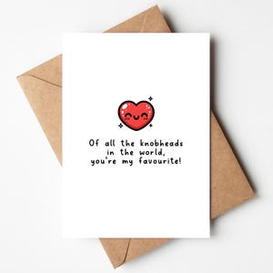 Tarjeta de aniversario divertida para él, de todos los idiotas del mundo.