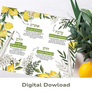 Puede incluir: Una impresión digital con ilustraciones de acuarela de limones y vegetación. La impresión incluye texto que describe el Etrog, Lulav, Aravah y Hadas, con sus significados simbólicos. Las palabras "Digital Download" están en la parte inferior.