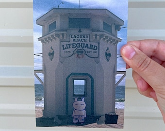 Laguna Bun 4 x 6 Matte Print