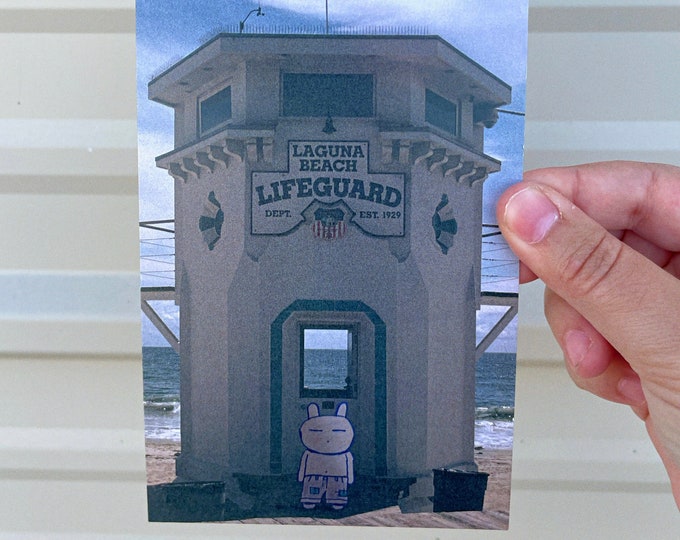 Laguna Bun 4 x 6 Matte Print