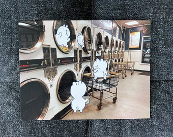Laundry Buns 4 x 6 Glossy Print