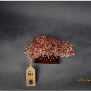 May include: A copper wire bonsai tree sculpture on a wooden base. The tree is in a cloud-like shape with many branches. The sculpture is tagged with a number "528".