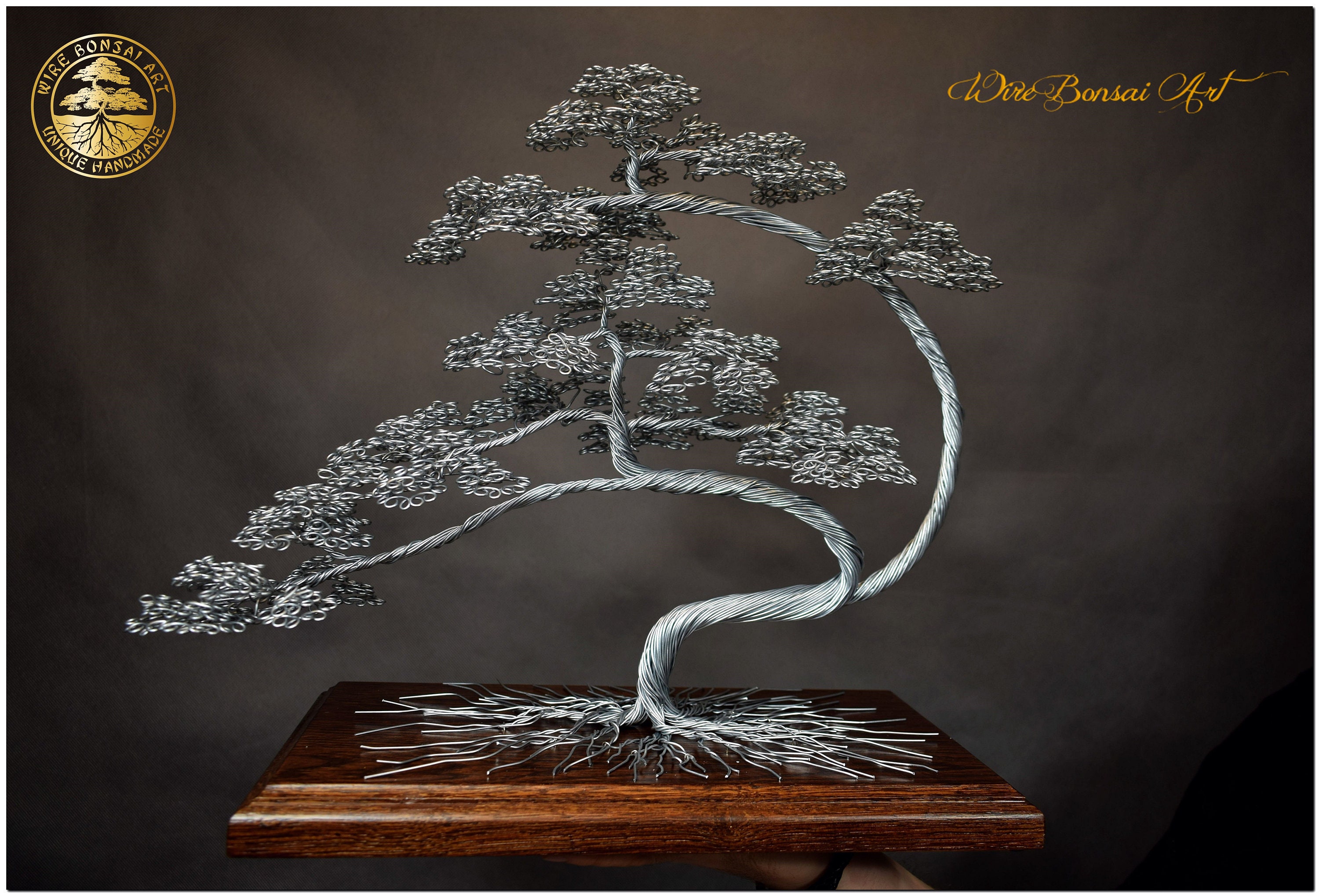 History of the Bonsai Tree – J-Life International