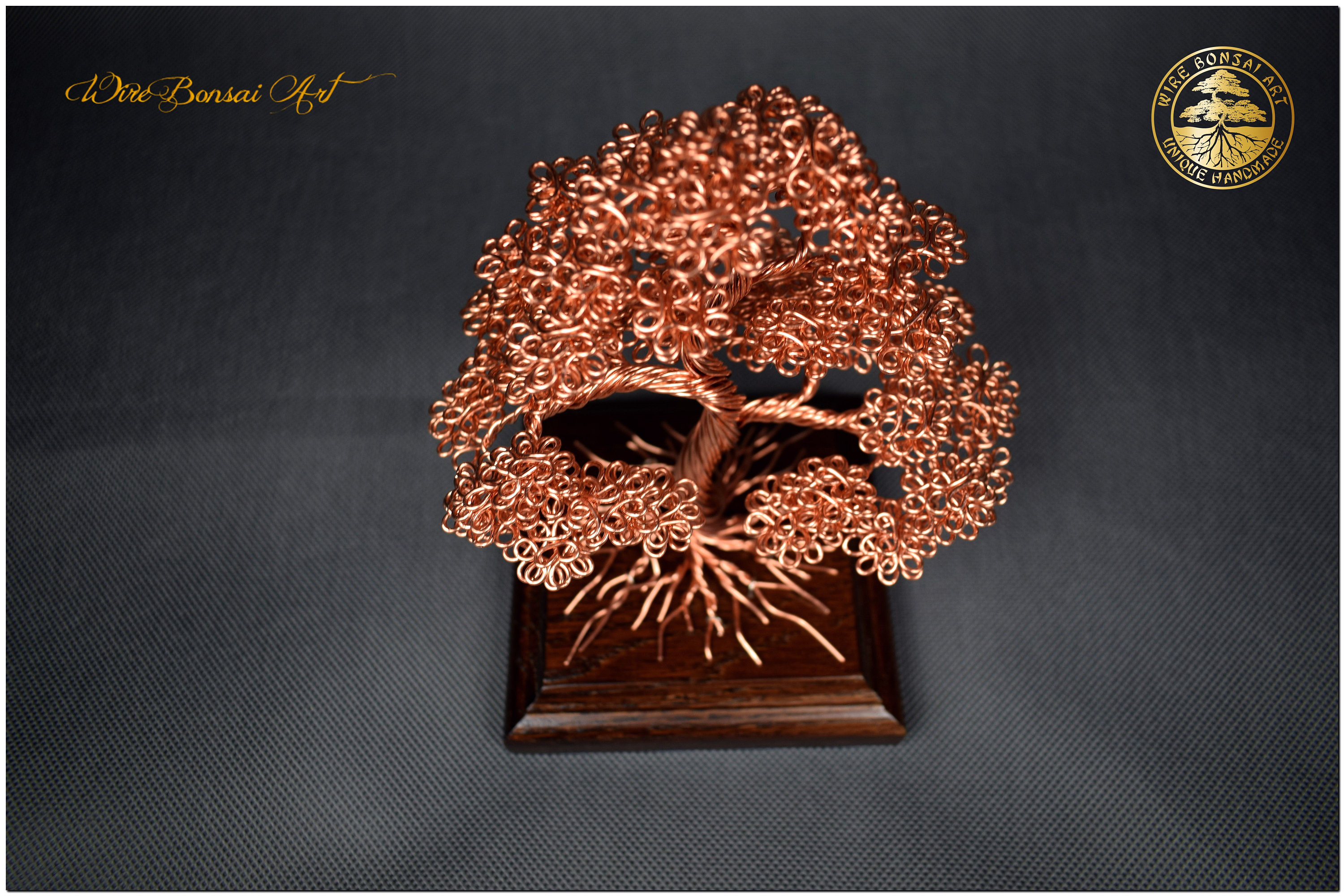 De belles oeuvres de bonsaï en fils de cuivre et d'aluminium, Culture-Sports